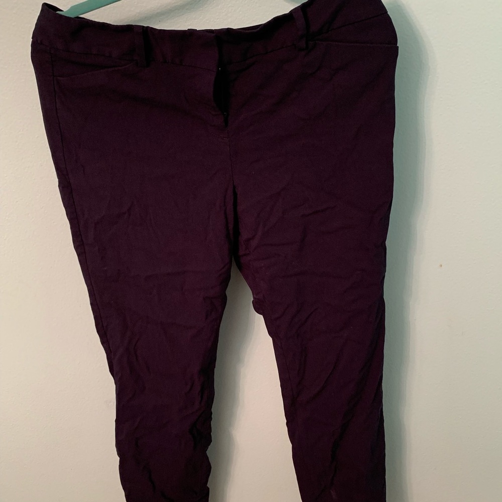 Women’s dress pants